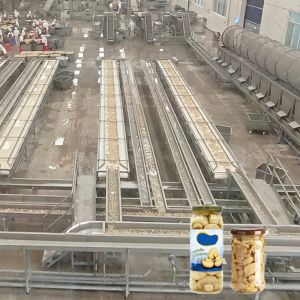 Custom Mushroom Canned Food Production Line Automatic Machines