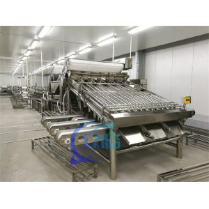 Fully automatic multi-functional fish and shrimp sorting and grading machine