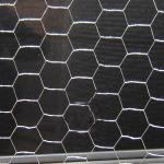 Galvanized Wire Mesh/Chicken Wire Mesh with Hexagonal Wire Netting