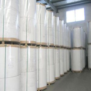 China FBB / C1S White Coated Ivory Board Paper For Printing And Writing on sale