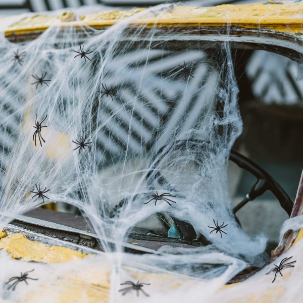 Customizable Stretchy Halloween Spider Web Terrifying Scene Props for Haunted House