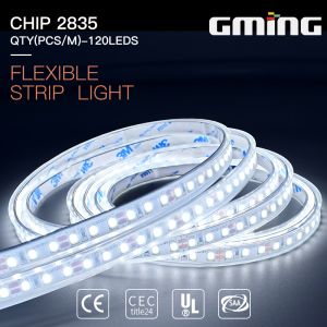 1600lm 120LEDs/M 2835 24V 12W Color Changing LED Strip