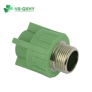 20mm to 160mm Universal PPR Pipe Fitting Male Coupling with Brass for Water