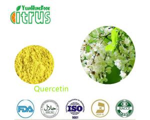 Wholesale Sophora Japonica L Extract Organic Quercetin Powder Lowering High Blood Pressure from china suppliers