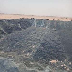 Black HDPE Geomembrane 2.0mm for Waterproofing Dam Liner in Kenya Fish Farm