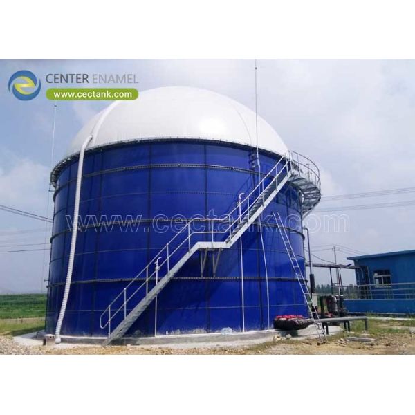 Anaerobic Digester with Double Membrane Gas Holder for Anaerobic Digestion