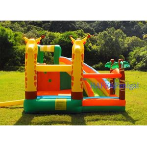 Children Jumping Castle Inflatable Trampoline Garden Activity Dry Slide Bouncing