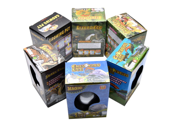 Single Side Coated Duplex Board Gray Back Offset Printing For File Folder