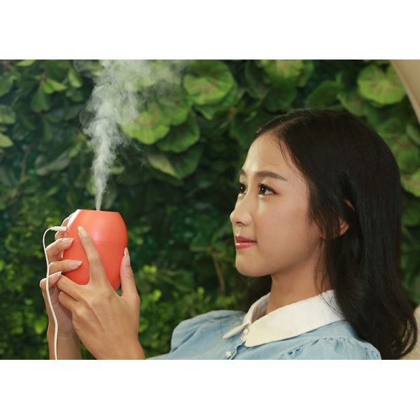 Lemon humidifier commercial ultrasonic air humidifier diffuser portable