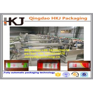 Multi Function Pillow Bag Packaging Machine For Food Stainless Steel Material