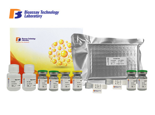 High Specificity OVA SIgE ELISA Assay Kit Mouse Ovalbumin Specific IgE Sandwich