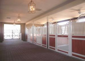 Wholesale Interiors European Horse Stalls TGIC Polyester Powder Coated Finish from china suppliers