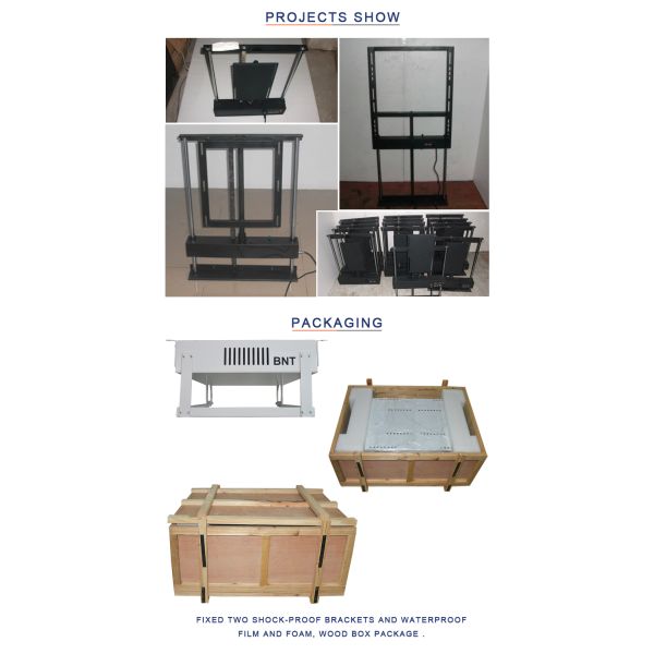 Ceiling Mounted Motorized Flat Screen TV Lift