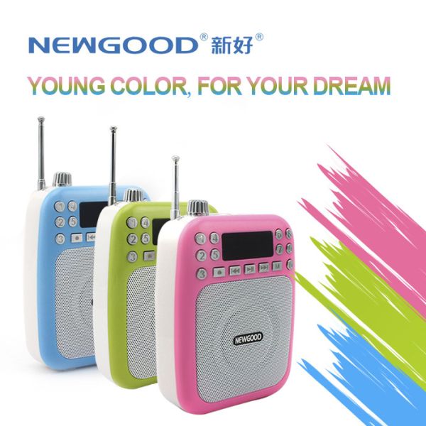 Quality NEWGOOD cheap LED screen pink green USB/TF/SD Card Audio Player Speaker with voice amplifer,voice recorder and FM radio for sale