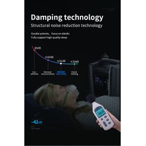 Oxygen Machine For Home,Electric Atomization Portable Oxygen Concentrator 10