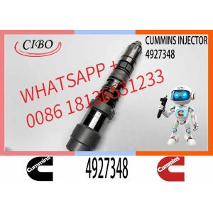 Q19 Common Rail Injector 4010025 Auto Parts Fuel Injector Nozzle 4087894 4927348