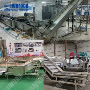 SS Potato Chips Fully Automatic Machine Frozen Fries Processing Machine