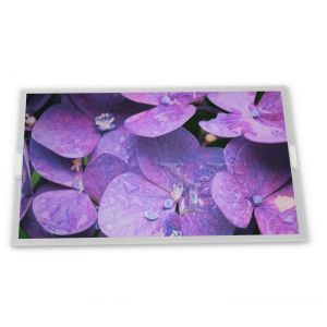 9 inch a-Si TFT-LCD A090VW01 V3 high-quality services rectangular screen lcd
