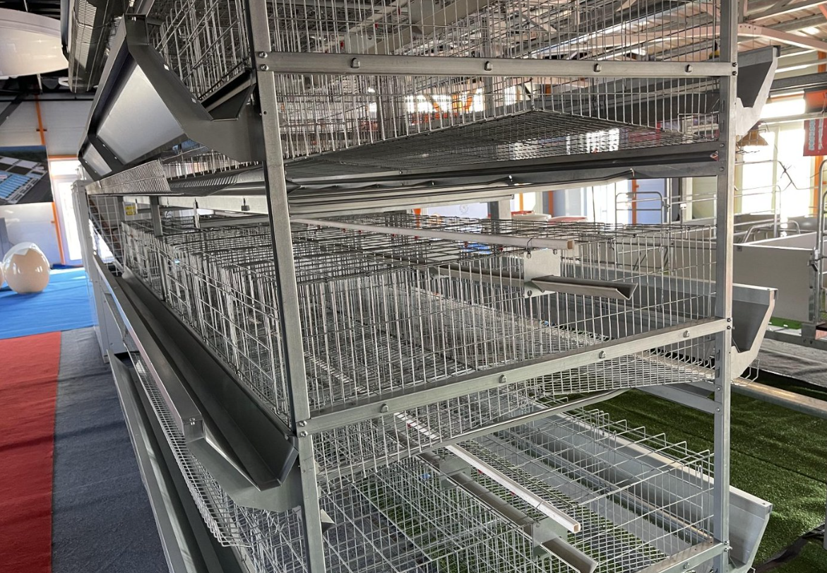 Turnkey Layer Cage Systems with High-Density Efficiency Superior Automation Integration and Optimized Natural Ventilation