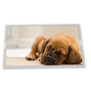 Wholesale G150XVN01.1 15 Inch 1024*768 30 Pins LVDS WLED Brightness 300nits TFT Lcd Modules with Lcd Controller Board from china suppliers