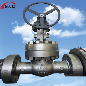 China 6 Inch 5A-2500 Class Dual Stainless Steel Gate Valve with Middle Bolt Design for High Pressure Applications on sale