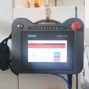 Automatic Case Palletizer Machine Automated Palletizer Systems With Servo