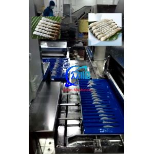 100 Pcs Tray Automatic NOBASHI Machine And Tempura Shrimp Stretching Machine