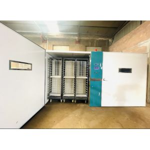 Automatic Large Scale Chicken Egg Hatching Machine Hatching Rate 98%