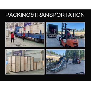 Multifunction Mesh Belt Conveying Fruits Mushroom Vegetable Processing Line