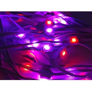 24V String Point Smart Eaves Lighting Holiday Ambilight 100ft RGBIC LED