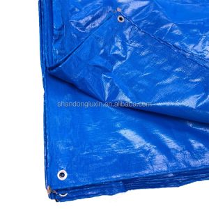 Outdoor Sunshade Pe Tarpaulin Roll with Waterproof Coating and Logo Printing