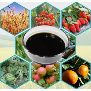 Fast Release Potassium Sulphate Fertilizer Water Soluble Compound