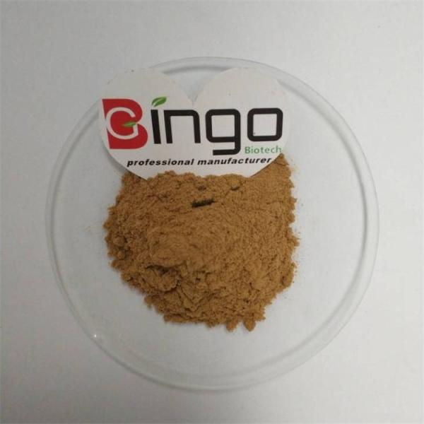 05Radix Notoginseng