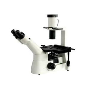 Wholesale RMS Threaded Inverted Optical Microscope Light WF10X/22mm Living Cell from china suppliers