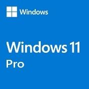 China Online Activation  Windows 11 Product Key Pro Retail 1 User on sale