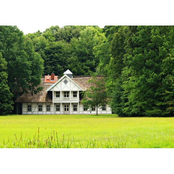 1.4Mx3M XS Size Metal Chicken Coop Run Walk In Chicken Cage For Poultry Rabbit Duck Goose Hen Chicken Cage