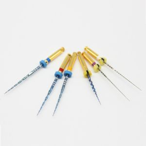 Niti Path Endo Rotary Files