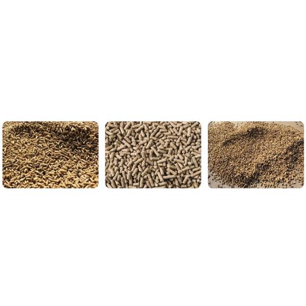 1-2 Ton Per Hour Capacity Laying Hen Broiler Chicken Animal Feed Pellet Production Line With CE Certification