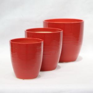 Stunning Plant Display With Our Ceramic Pots Various Sizes Available Ceramic