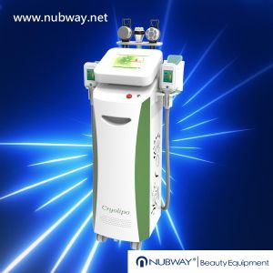Wholesale High Quality Cryolipolysis Slimming Machine / New Slimming Cryo Fat Freezing from china suppliers