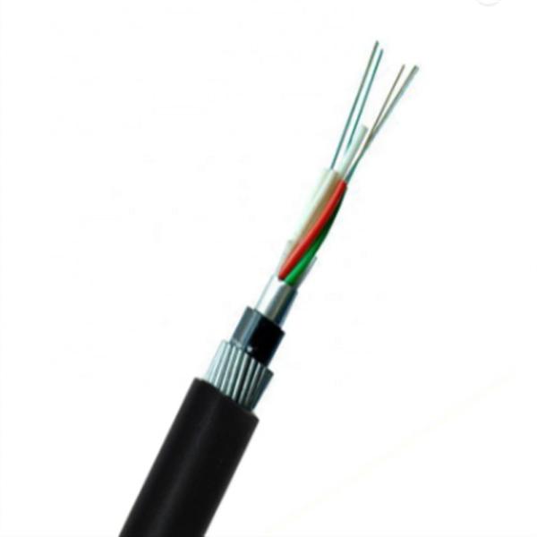 Manufacture Single mode 1 2 4 12 24 48 core GJSFJV Indoor Armored Optical Fiber