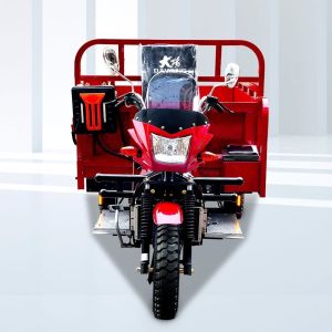 DAYANG 200CC Lifan CCC Origin Red Heavy Loading Truck Tricycle with Super Cold