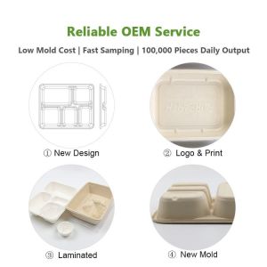 Custom Biodegradable Sugarcane Bagasse Pulp Fiber Fast Food Packing Paper Box