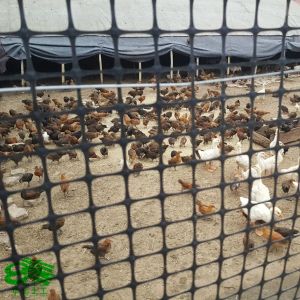 Plastic Mesh Grid Polypropylene Biaxial Geogrid for Road Soil Stabilizer Width 1