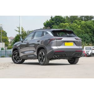 Manual Driver's Seat Adjustment Jetour Dasheng Prtrol Car 5 door Auto Gasoline