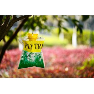 10 Pieces Regular Eco Material Fly Bag Trap for Farm Insect Eradication Solution
