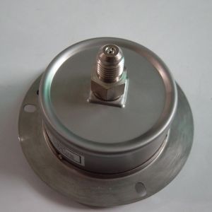 60mm 2 MPa Manometer with Flange Back Entry Connection Stainless Steel