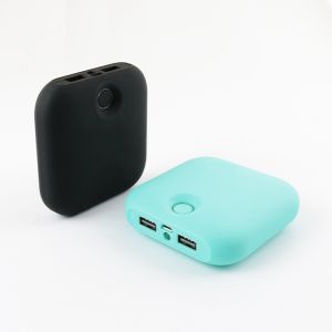 Efficiency Full Power Bank For All Devices Dual Input Micro USB Or Type C