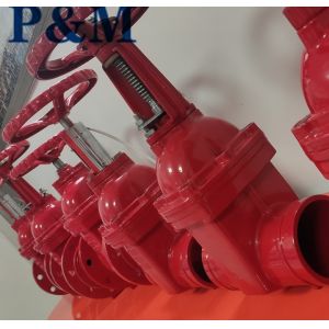 AWWA C509 DN100 Grooved end resilient seal gate valve