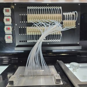 12 Column Medium Throughput Oligonucleotide Synthesis Equipment for DNA RNA